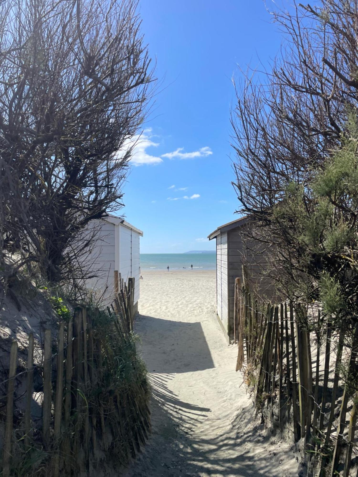 'Bramley Fall Cottage' ' On Site Ev Point - Attached Cottage,3 Separate Bedrooms -1 On Ground Level, Sleeps 6, 2 Bathrooms, Sandy Wittering Beach 8Min Drive, Rural Location, Child Friendly, Small Breed Dog Friendly, Private Parking ชิชิสเตอร์ ภายนอก รูปภาพ